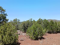 Explore a Stunning Dream Campsite : Concho : Apache County : Arizona