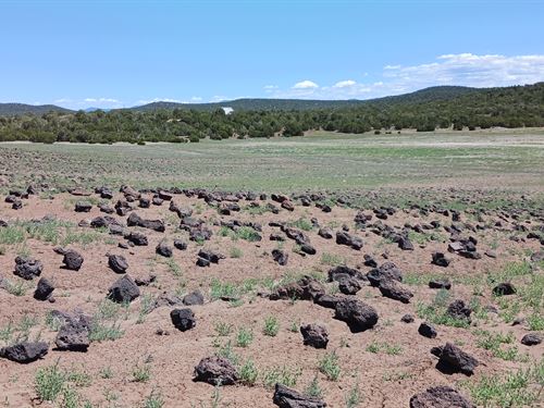 Own Your Off-Grid Oasis in AZ : Concho : Apache County : Arizona