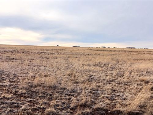 Land with Outdoor Escapes : Concho : Apache County : Arizona