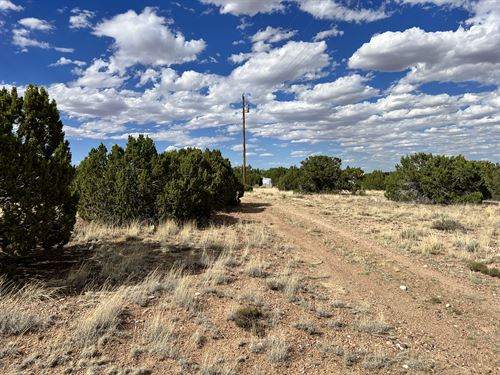 Amazing Land Near Trails : Concho : Apache County : Arizona