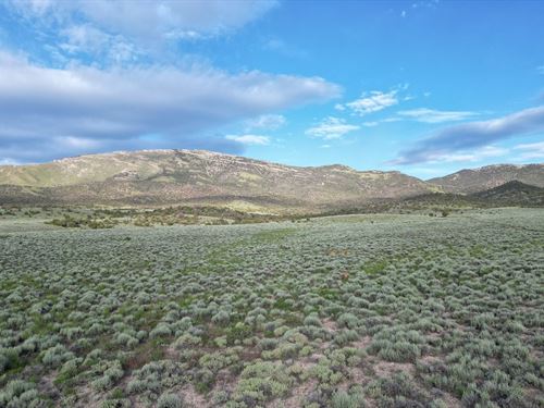 Mountain & Trees, Grass & Sun : Loray : Elko County : Nevada