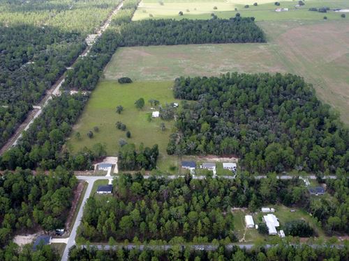 Land with Endless Possibilities : Dunnellon : Marion County : Florida