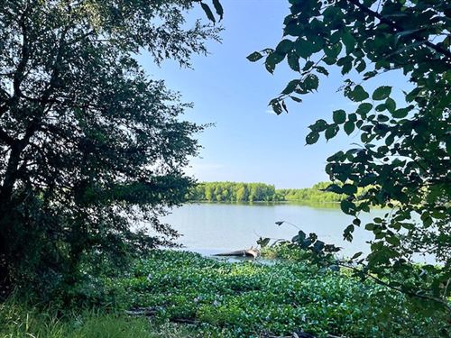 5.13 Acres FM 356 : Trinity : Texas