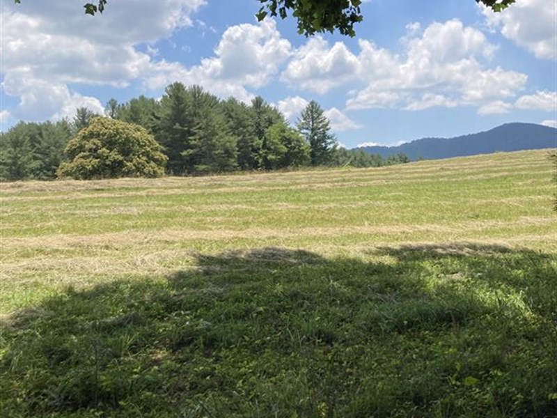 2.38 Ac Ashe County, Nc, $697 Down : Laurel Springs : Ashe County : North Carolina