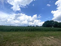 Highly Visible Commercial Property : Perryville : Perry County : Missouri