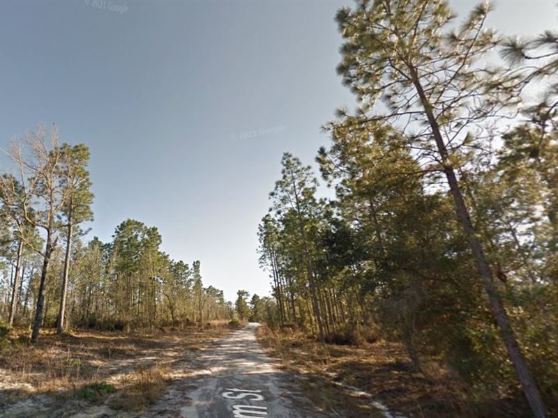 Golden Ticket to Florida, $149 Down : Interlachen : Putnam County : Florida