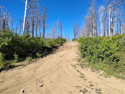 Check Out This Corner Lot of CO : Fort Garland : Costilla County : Colorado