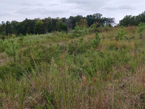 Beautiful Tract : Farmville : Prince Edward County : Virginia