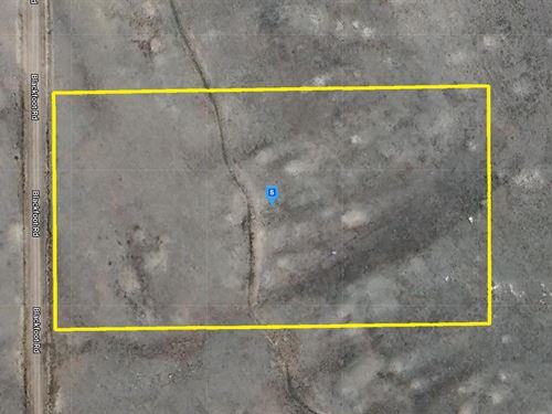 Get Your Property at $1,307.62 Down : Hartsel : Park County : Colorado