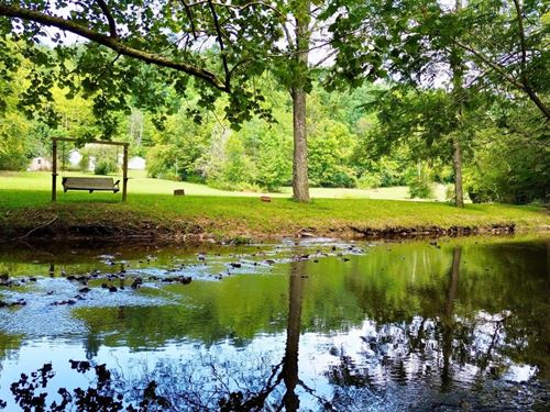 10 Acres / 2 Homes, Brush Creek : Fairview : Williamson County : Tennessee