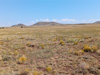 1.01 Acre Lot in Concho for $145/Mo : Concho : Apache County : Arizona