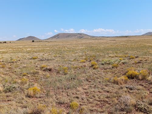 1.01 Acre Lot in Concho for $145/Mo : Concho : Apache County : Arizona