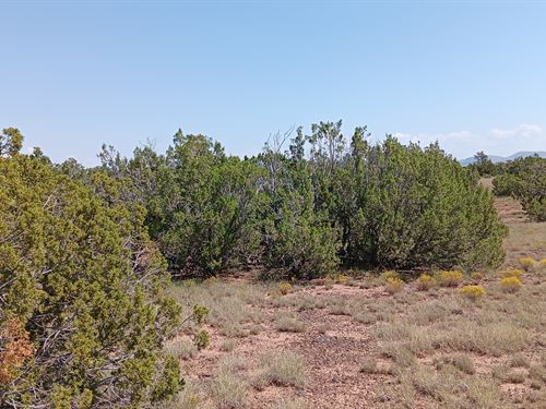 Check Out This 1.03 Acre Lot : Concho : Apache County : Arizona