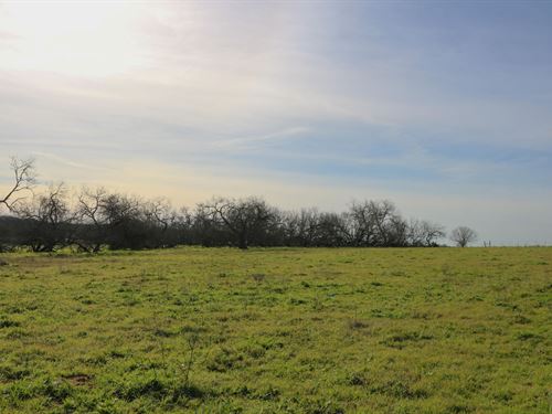 2.11 Acres in Caldwell County : Luling : Caldwell County : Texas