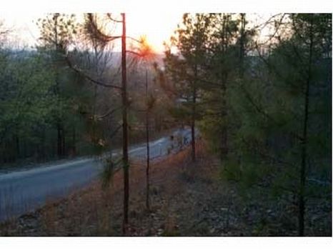 Blue Mtn Half Acre Lots in Anniston : Anniston : Calhoun County : Alabama