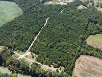 3.59 Acre With River Access : Gaylesville : Cherokee County : Alabama