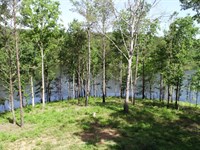 $$ Reduced, Sawtooth Branch Lake : Clanton : Chilton County : Alabama