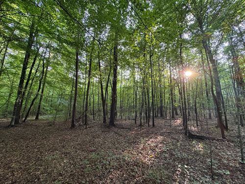 5 Acre Waverly Mini Farm : Waverly : Tallapoosa County : Alabama