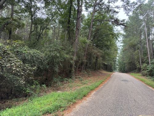 8.56 Acres, Tylertown, MS : Tylertown : Walthall County : Mississippi