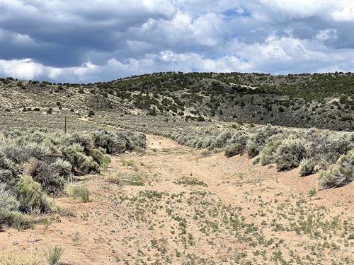 Spacious Open Lot with Great Views : San Luis : Costilla County : Colorado