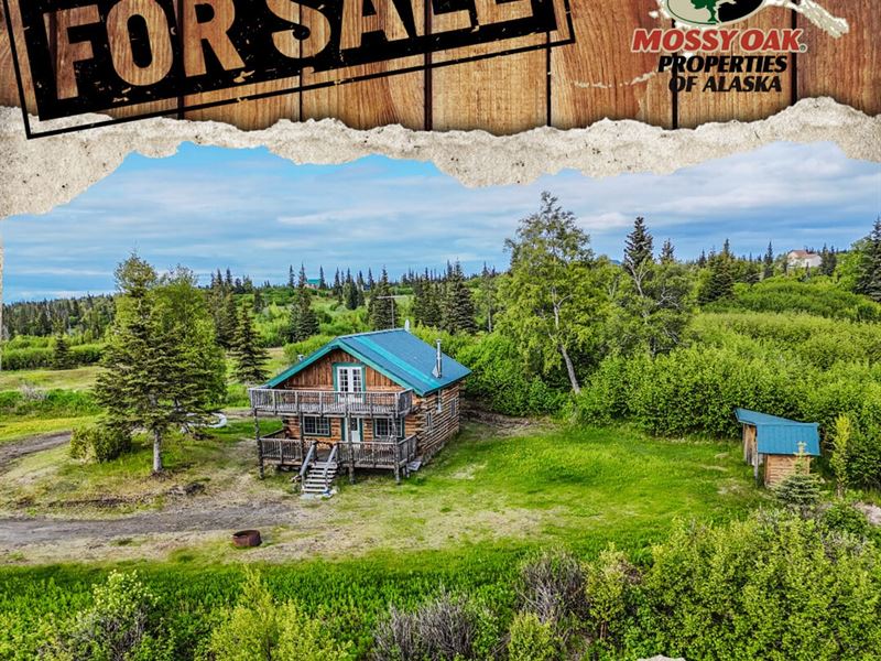Caribou Hills Log Home : Ninilchik : Kenai Peninsula Borough : Alaska