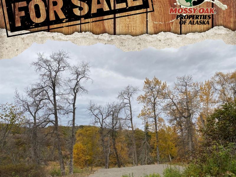 2.87 Acres in Nikski with Driveway : Nikiski : Kenai Peninsula Borough : Alaska