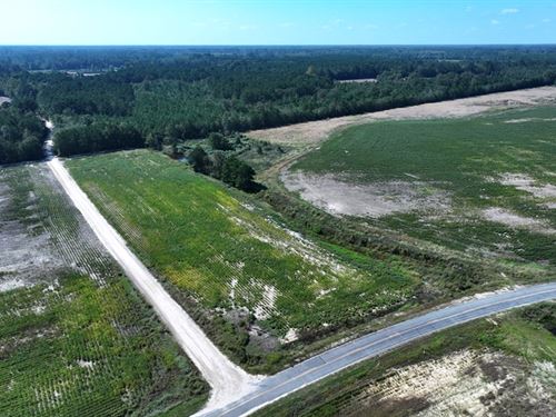 Spacious Rural Residential Lot : Fairmont : Robeson County : North Carolina