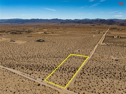 Desert Dreams : Joshua Tree : San Bernardino County : California