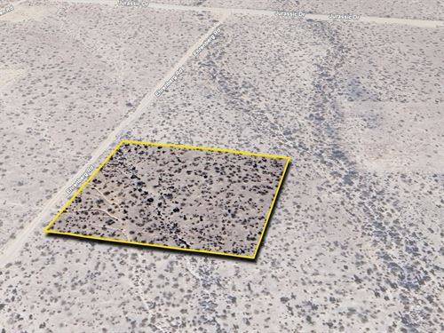 Rural Tranquility : Golden Valley : Mohave County : Arizona