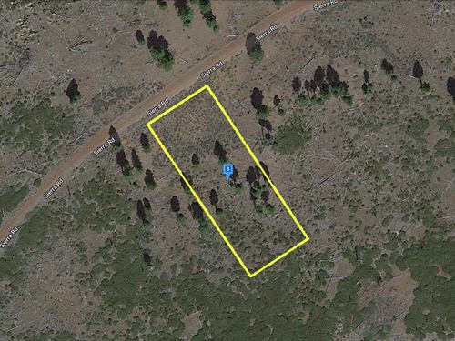 Escape The City Life : Alturas : Modoc County : California