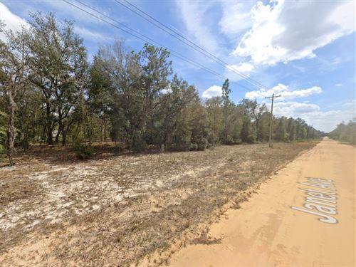 Perfect Spot for Your Mobile Home : Interlachen : Putnam County : Florida