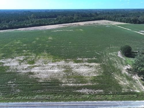 Large Farm with Residential Space : Fairmont : Robeson County : North Carolina