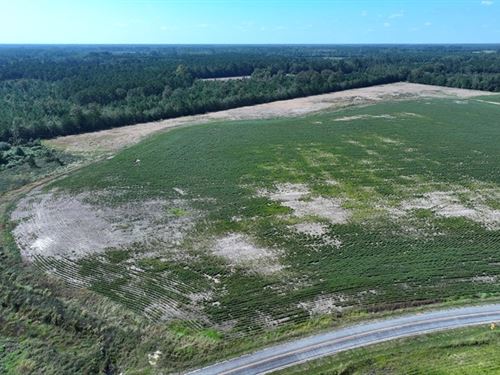 Residential and Farm Site : Fairmont : Robeson County : North Carolina