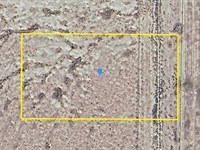 Live and Farm : Mojave : Kern County : California