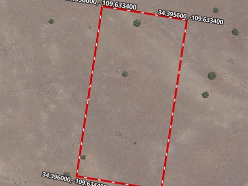 Booming Area of Concho, AZ : Concho : Apache County : Arizona