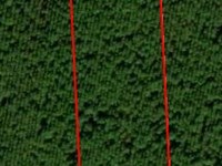 Andrew's Grove Lot 4 : Hilliard : Nassau County : Florida