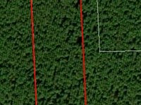 Andrew's Grove Lot 3 : Hilliard : Nassau County : Florida