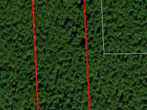 Andrew's Grove Lot 3 : Hilliard : Nassau County : Florida