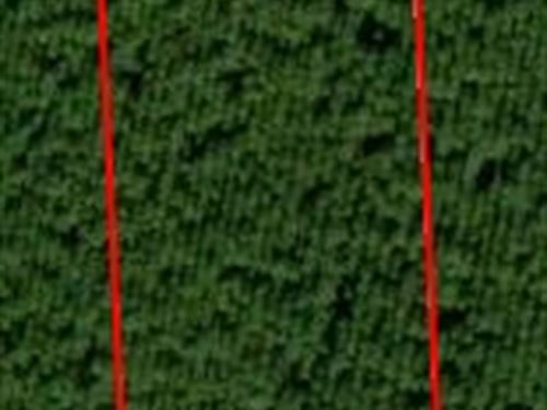 Andrew's Grove Lot 6 : Hilliard : Nassau County : Florida