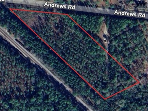Andrew's Grove Lot 14 : Hilliard : Nassau County : Florida