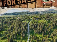 2 Undeveloped View Lots Totaling 2 : Ninilchik : Kenai Peninsula Borough : Alaska