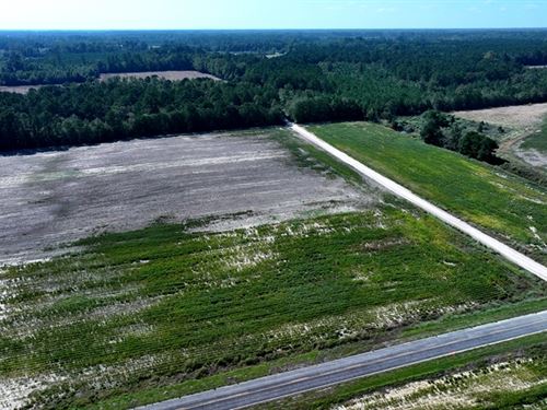 Large Residential Lot or Mini Farm : Fairmont : Robeson County : North Carolina