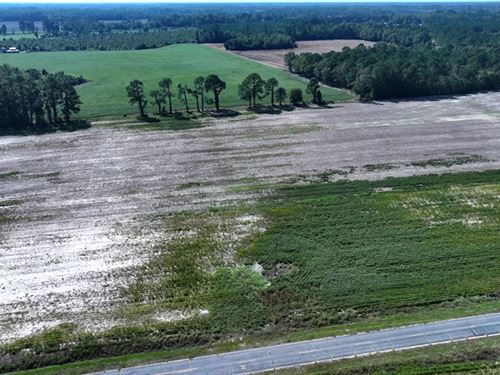 Large Residential Lot or Mini Farm : Fairmont : Robeson County : North Carolina