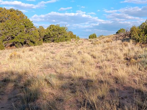 $50 Down, Sale Ends May 31st 2025 : Chambers : Apache County : Arizona