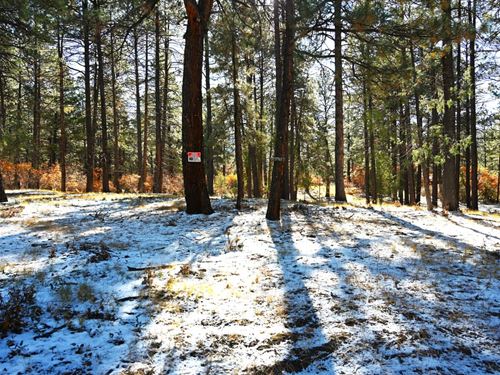 1 Acre Brazos Meadows : Chama : Rio Arriba County : New Mexico