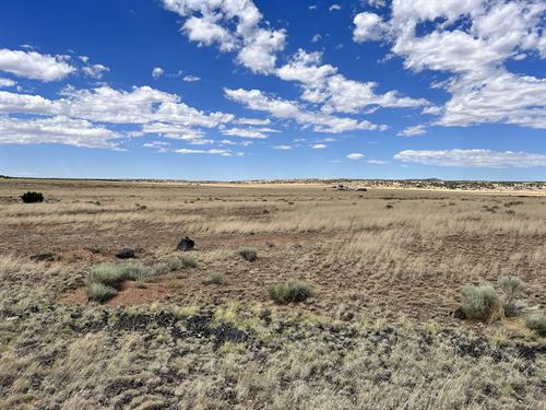 Discover Arizona's Hidden Gem : Concho : Apache County : Arizona