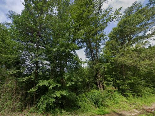 Low-Cost Escape From Dallas : Ore City : Marion County : Texas