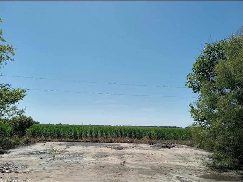 1 Acre Lot in Washington County : Hollandale : Washington County : Mississippi