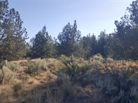 Getaway to Your Outdoor Playground : Alturas : Modoc County : California