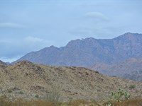 Find Your Freedom This Fall : Yucca : Mohave County : Arizona